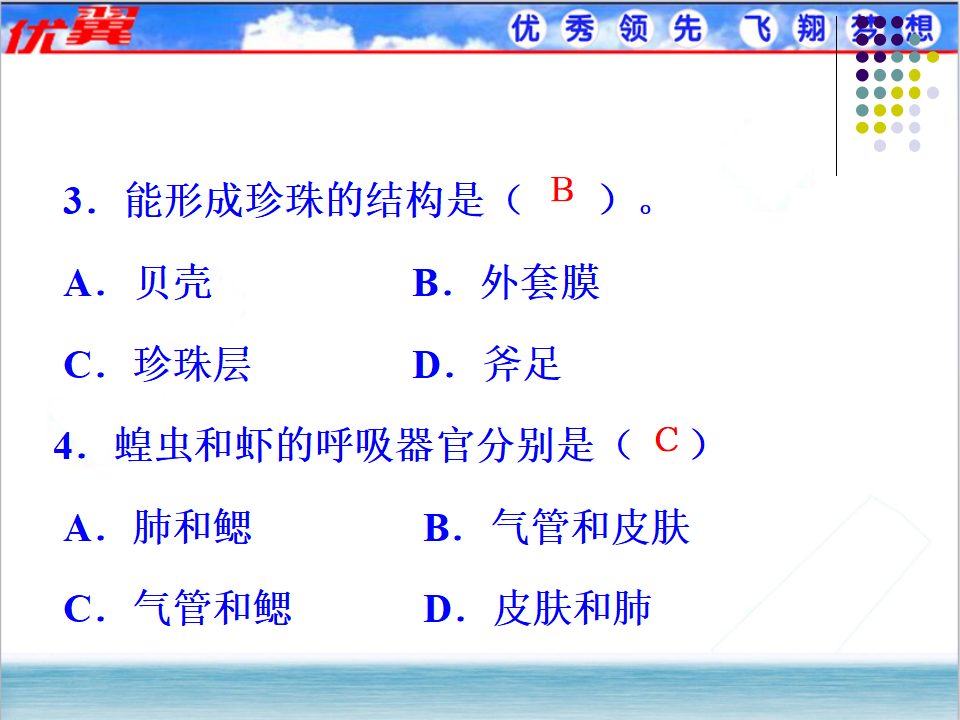 3.第三节  软体动物和节肢动物【备份1】_23.png