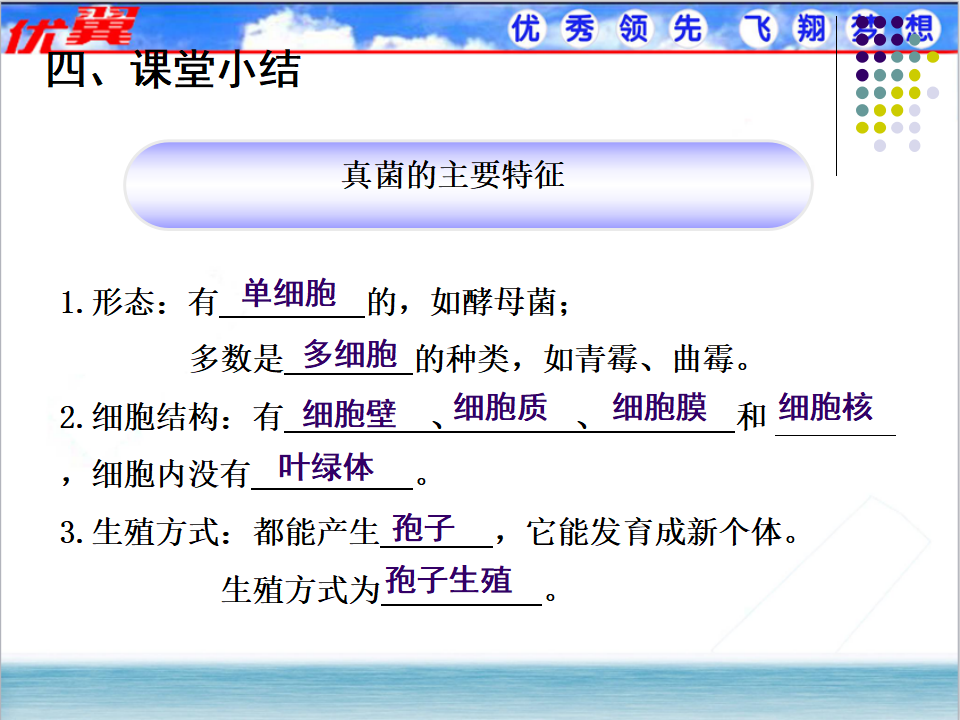 3.第三节  真菌【备份】_14.png