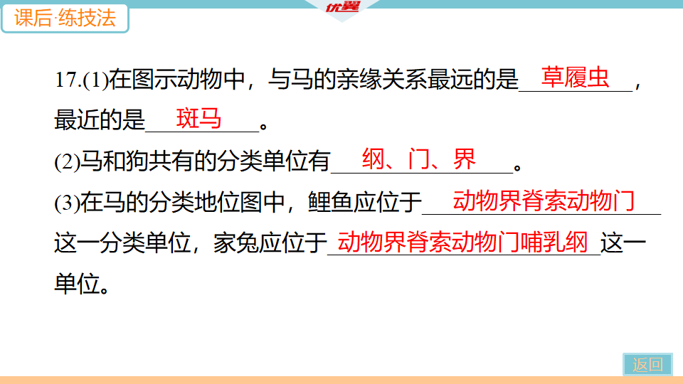 2.第二节　从种到界_26.png