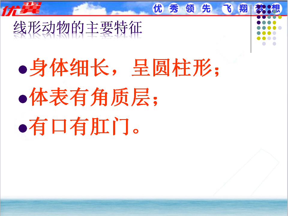 2.第二节  线形动物和环节动物【备份1】_09.png
