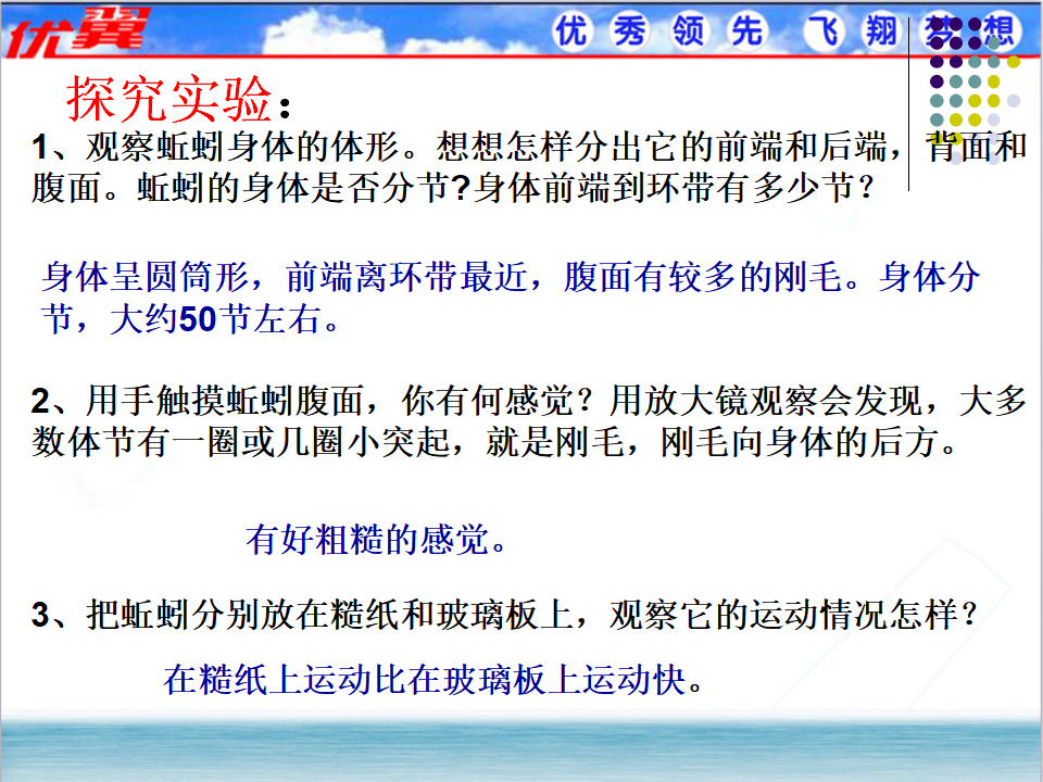 2.第二节  线形动物和环节动物_10.png