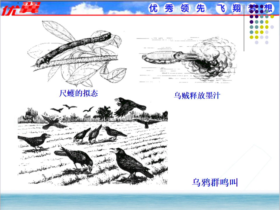 2.第二节  先天性行为和学习行为_06.png