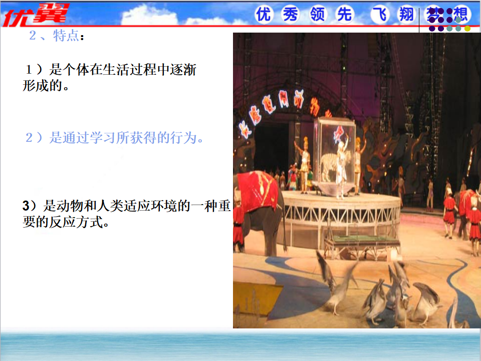 2.第二节  先天性行为和学习行为_11.png