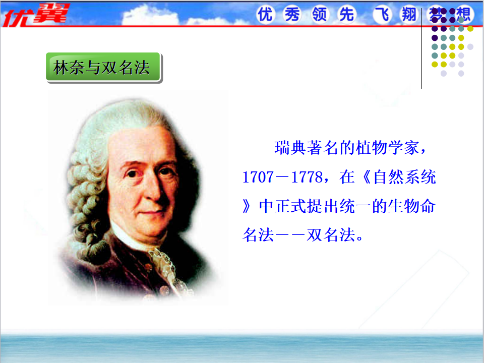 2.第二节  从种到界_11.png