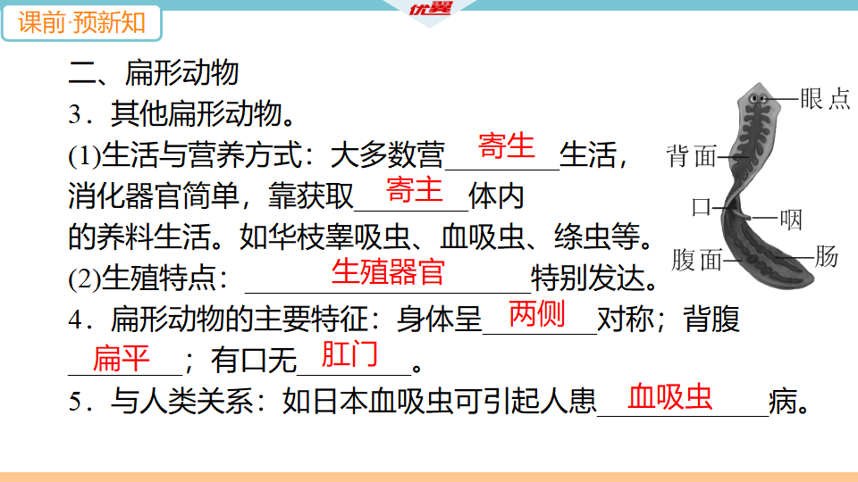1.第一节　腔肠动物和扁形动物_09.png