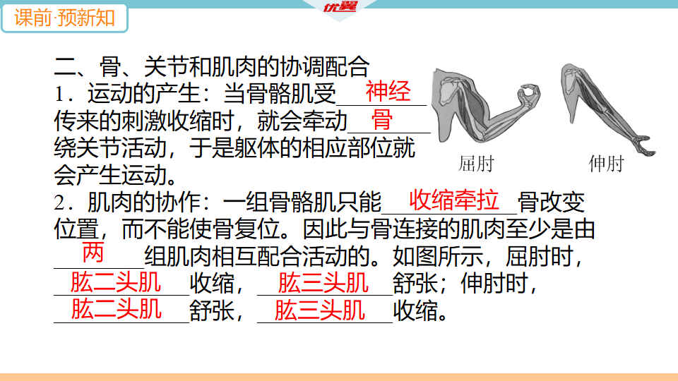 1.第一节　动物的运动_07.png