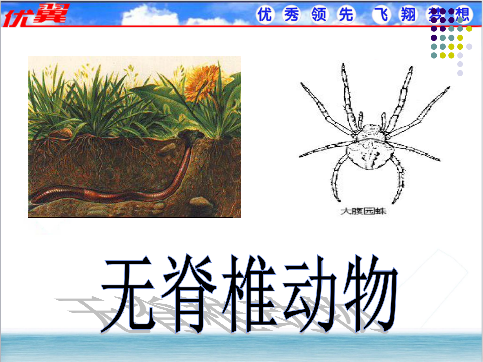 1.第一节  尝试对生物进行分类【备份】_19.png