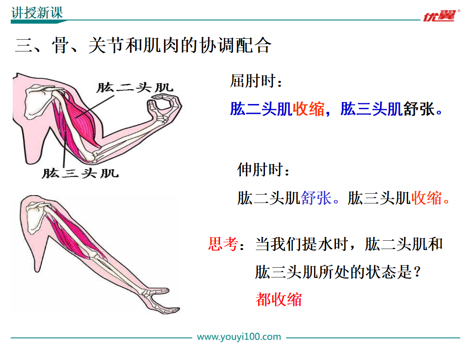 1.第一节  动物的运动【备份2】_10.png