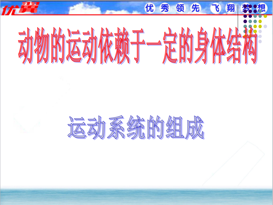 1.第一节  动物的运动【备份1】_06.png
