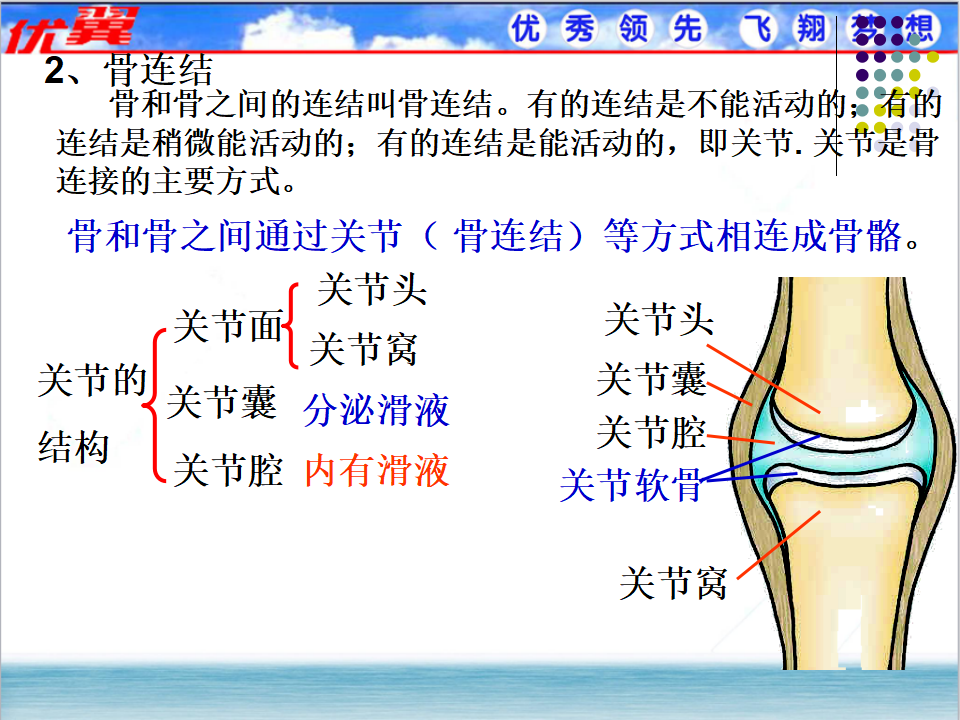1.第一节  动物的运动_06.png