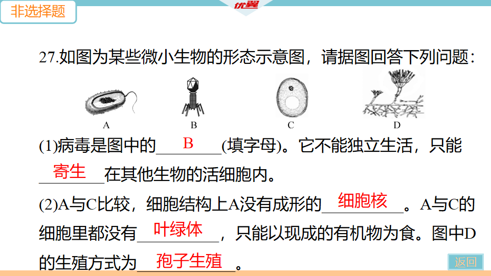 第五单元第四、五章检测卷_33.png