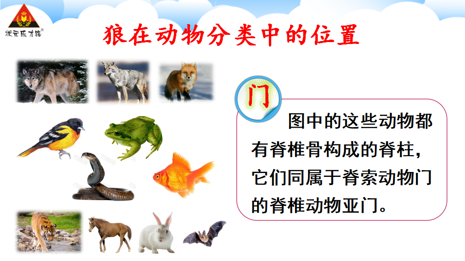 第二节 从种到界_15.png