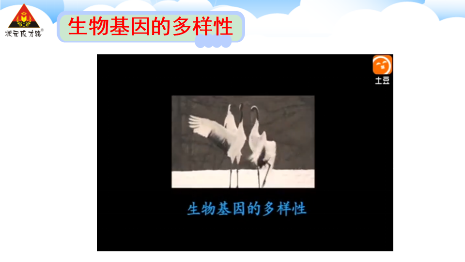 第二章 认识生物的多样性_16.png