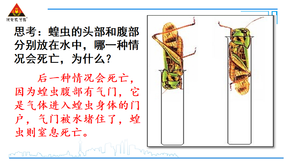 第三节 软体动物和节肢动物_33.png