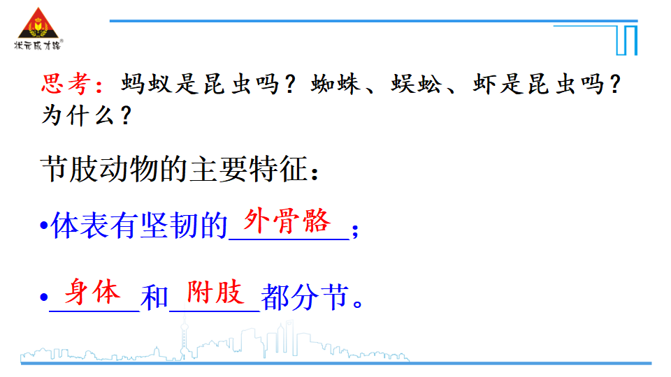 第三节 软体动物和节肢动物_35.png