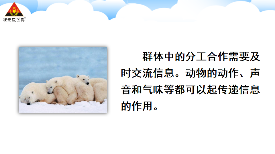 第三节 社会行为_21.png