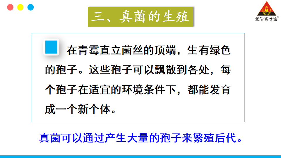 第三节 真菌_17.png