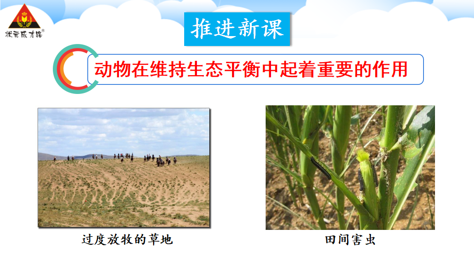 第三章 动物在生物圈中的作用_07.png