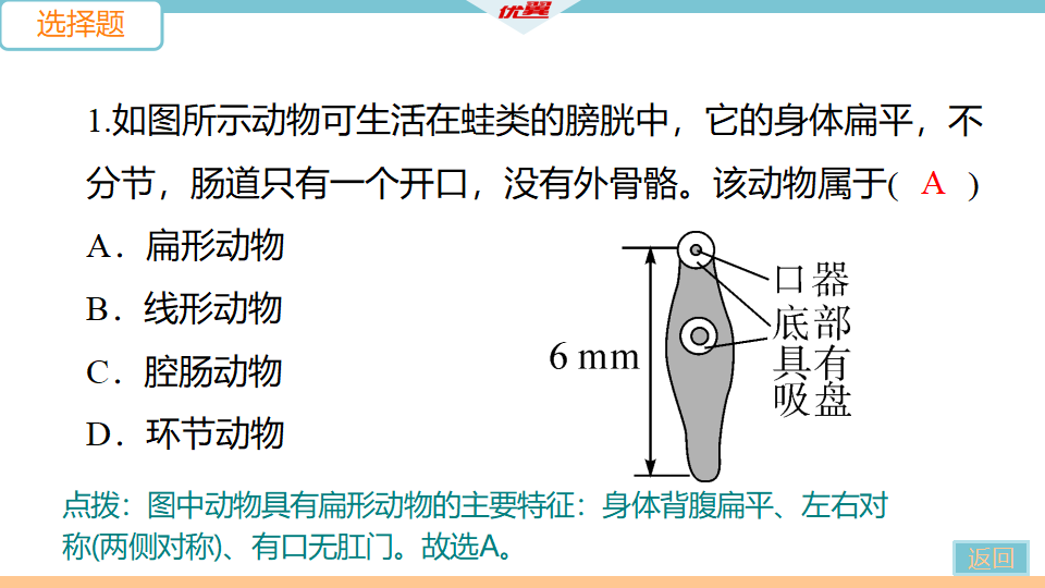 期中检测卷_06.png