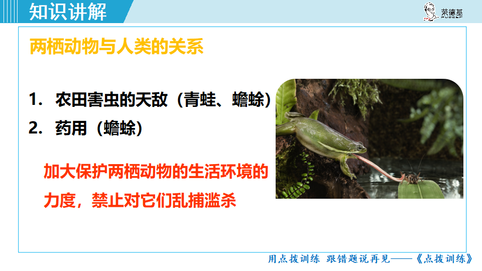 6.第五节 两栖动物和爬行动物_14.png