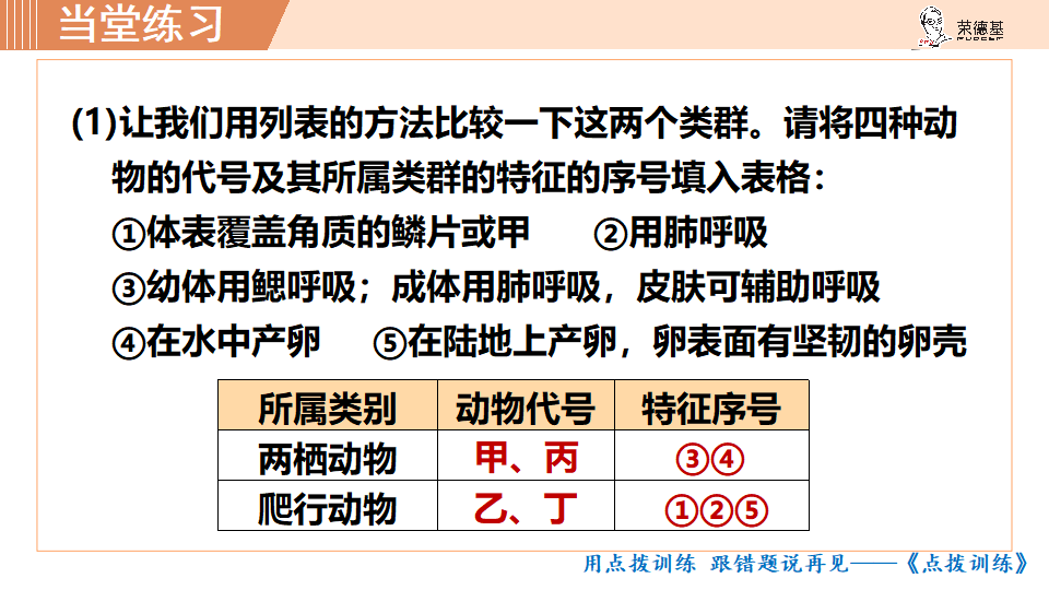 6.第五节 两栖动物和爬行动物_35.png