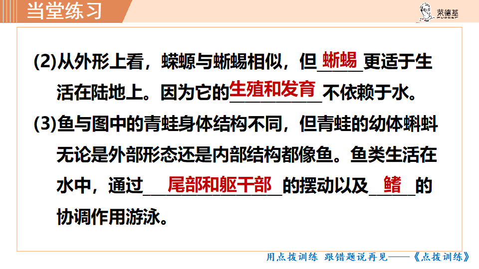 6.第五节 两栖动物和爬行动物_36.png