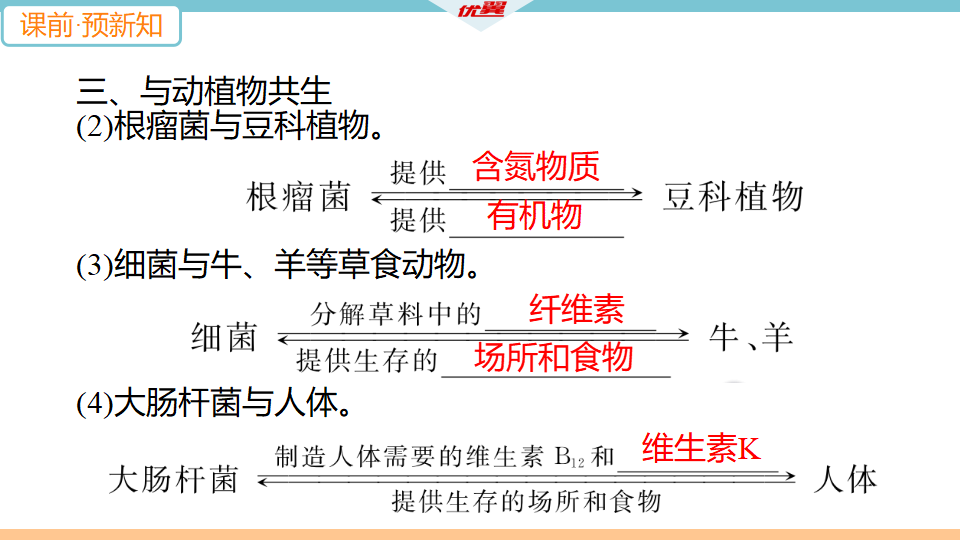 4.第四节　细菌和真菌在自然界中的作用_08.png
