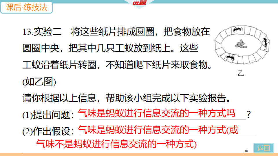 3.第三节　社会行为_22.png