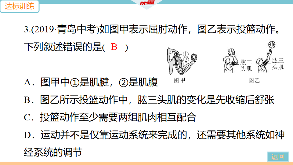 2.专项二　动物运动的结构基础及动物行为的类型_13.png