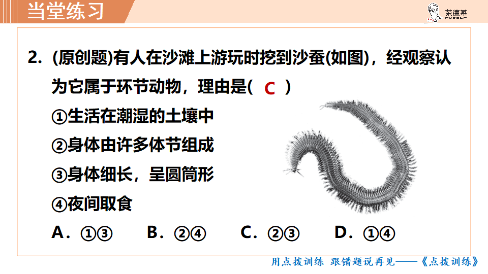 第二节线形动物和环节动物_31.png