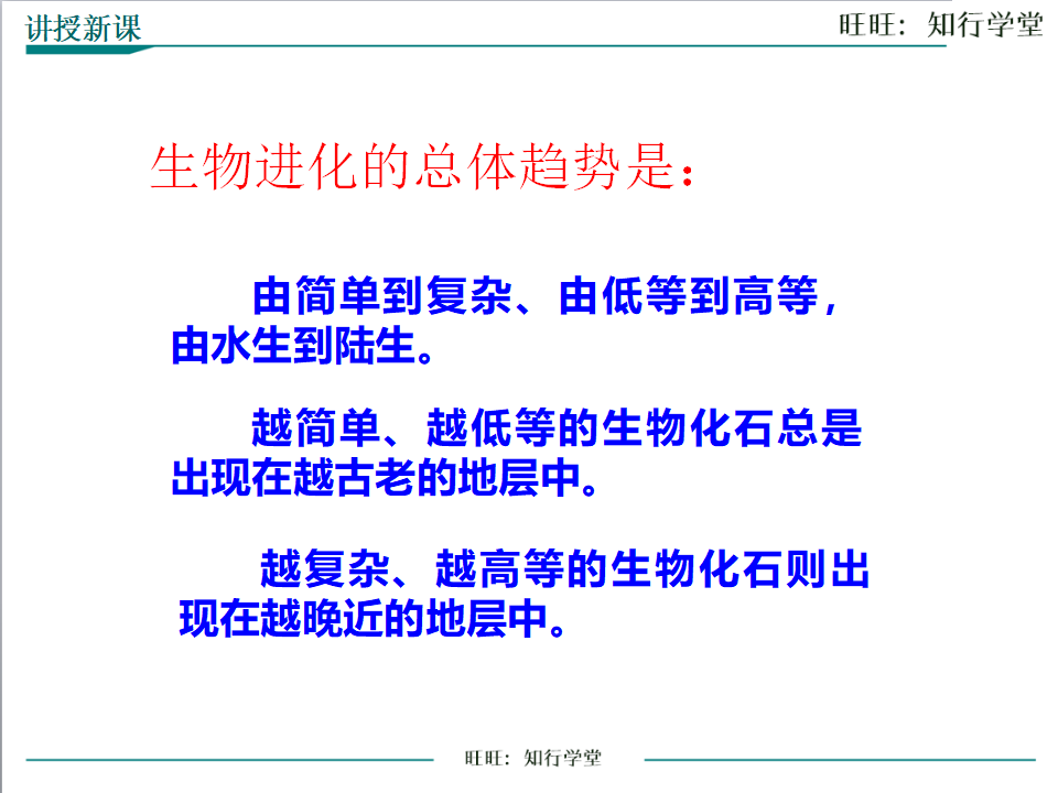 第二节 生物进化的历程_23.png