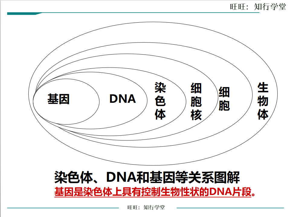 第二章 小结与复习_13.png