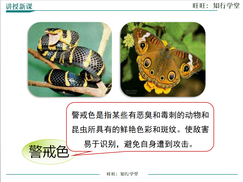 第三节 生物进化的原因_22.png