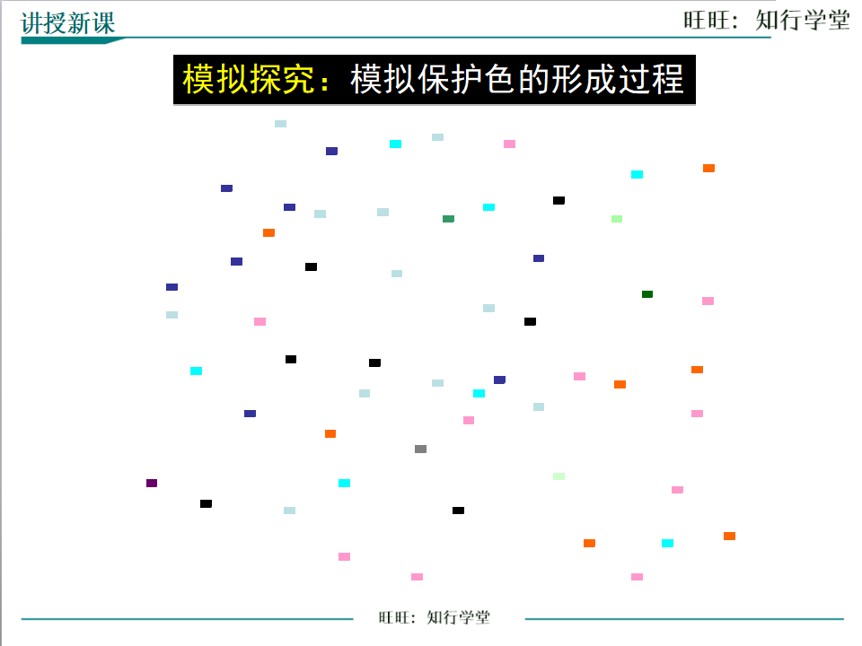 第三节 生物进化的原因_24.png