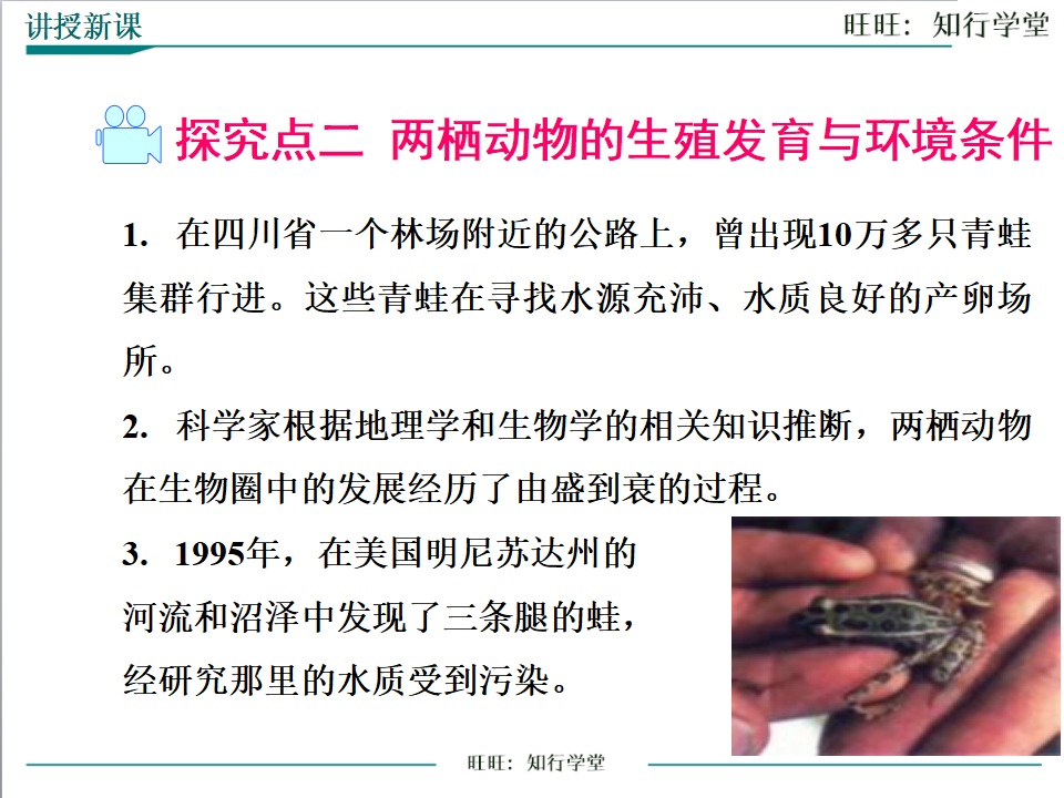 第三节 两栖动物的生殖和发育_11.png