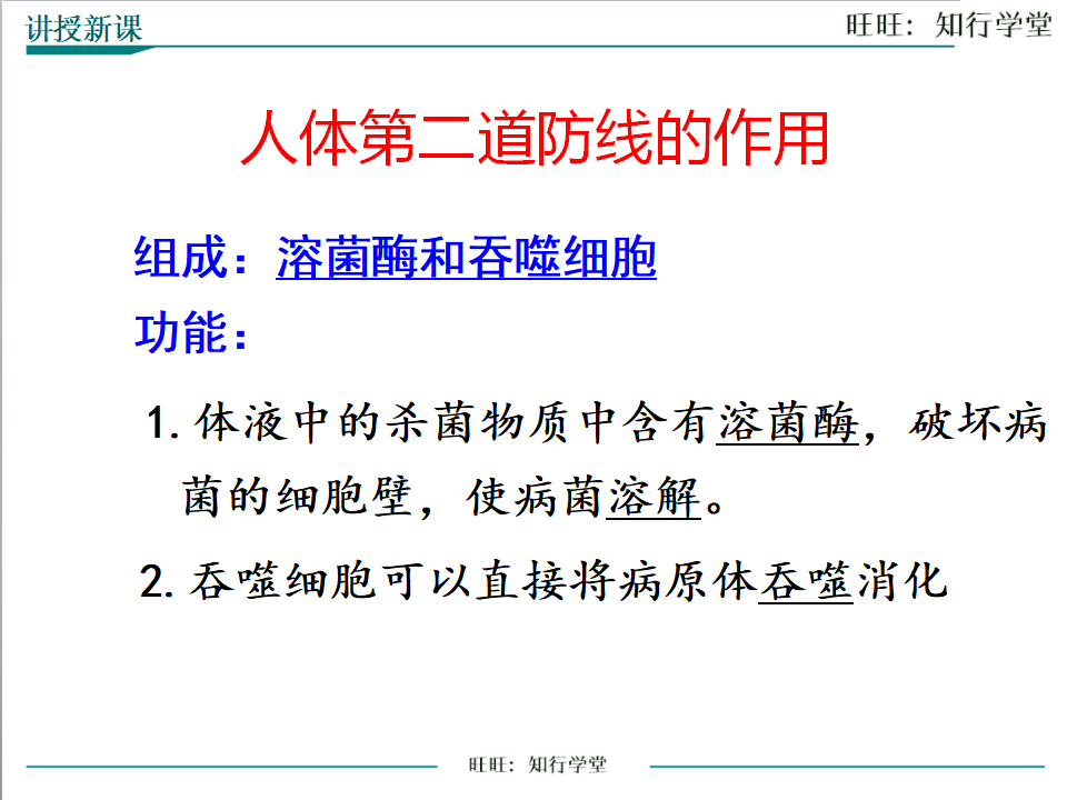 第1课时 人体的三道防线_14.png