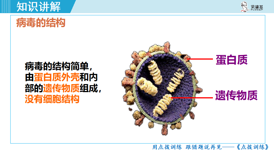 生物-课时--第五章病毒_13.png