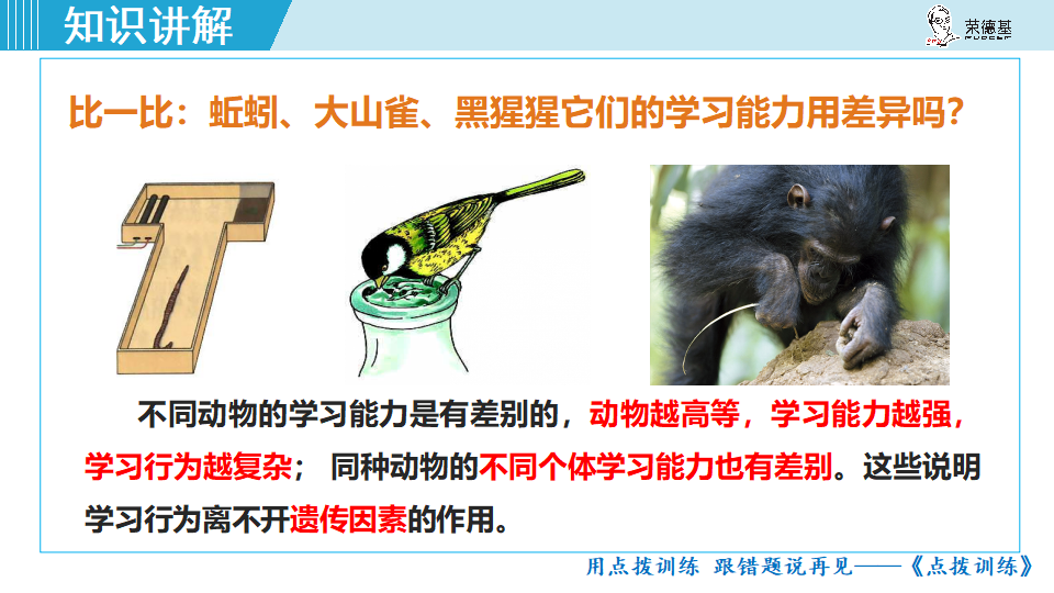 生物-课时--第二节动物的先天性行为和学习行为_29.png