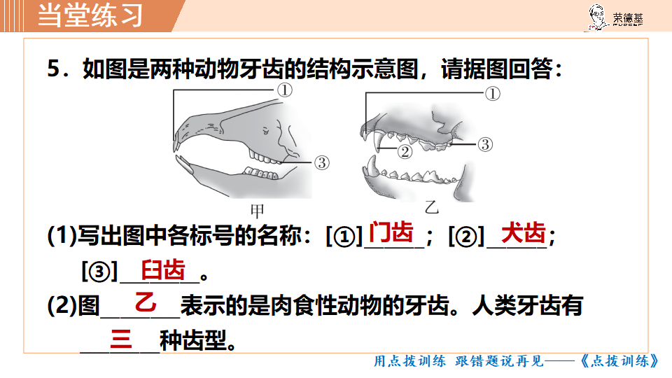 生物-课时--第七节哺乳动物_35.png