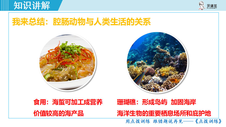 生物-课时--第一节腔肠动物和扁形动物_19.png
