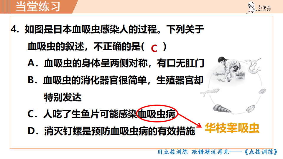 生物-课时--第一节腔肠动物和扁形动物_42.png