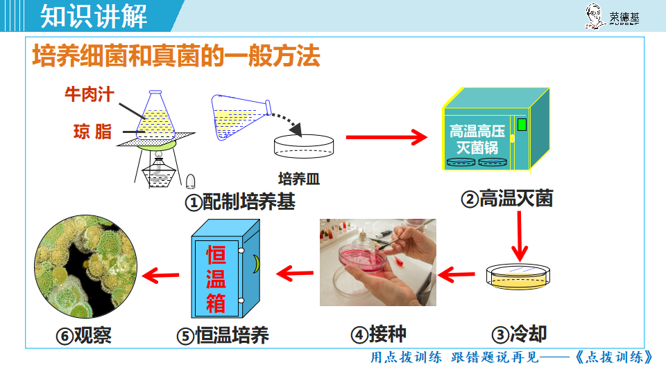 生物-课时--第一节细菌和真菌的分布_10.png