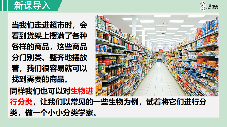 生物-课时--第一节尝试对生物进行分类_02.png