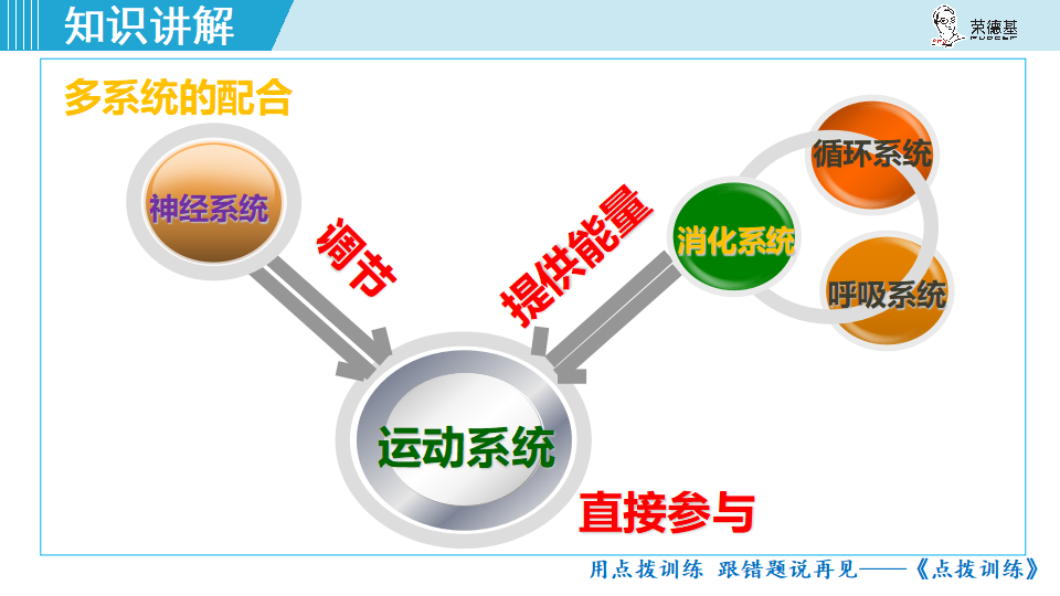 生物-课时--第一节动物的运动_31.png