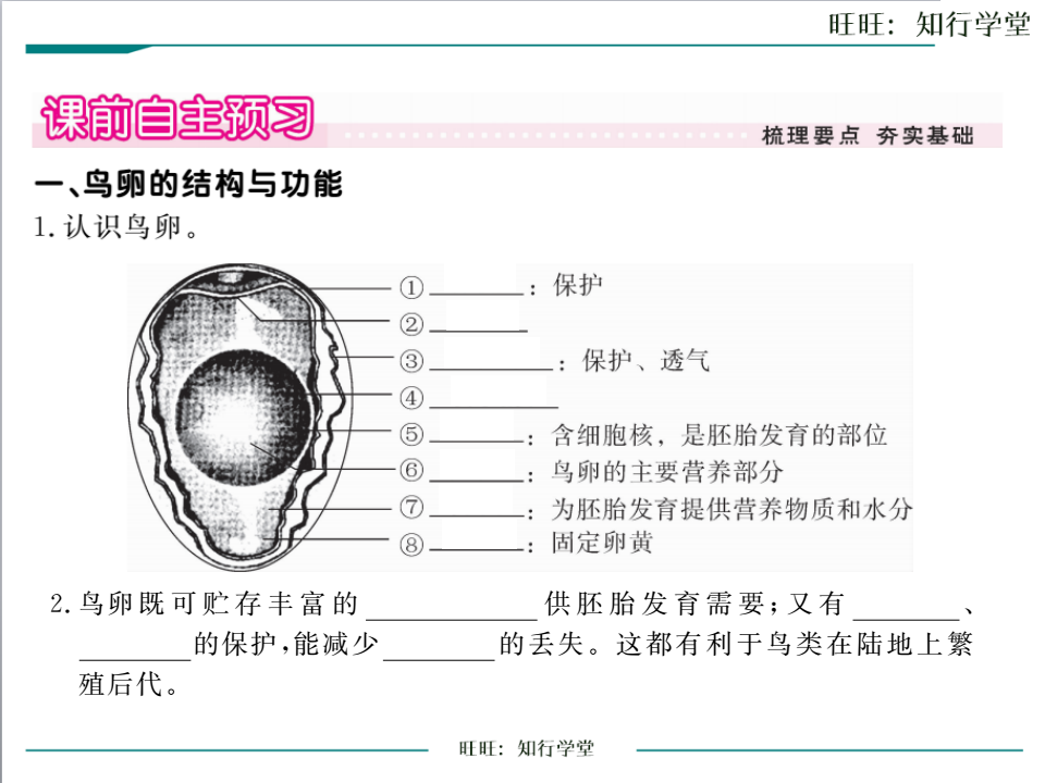 第四节  鸟的生殖和发育_02.png