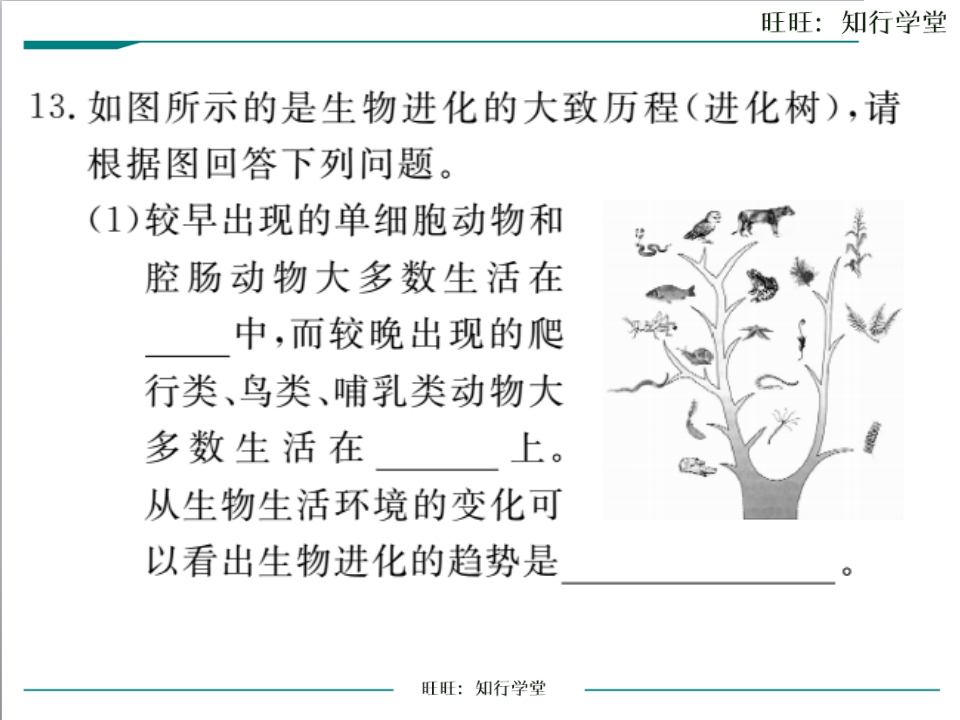 第二节  生物进化的历程_14.png