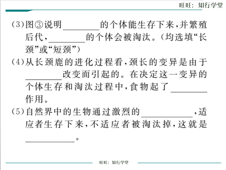 第三节  生物进化的原因_12.png