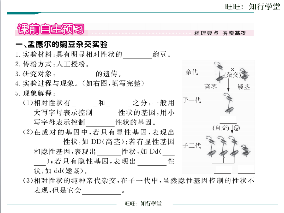 第三节  基因的显性和隐性_02.png