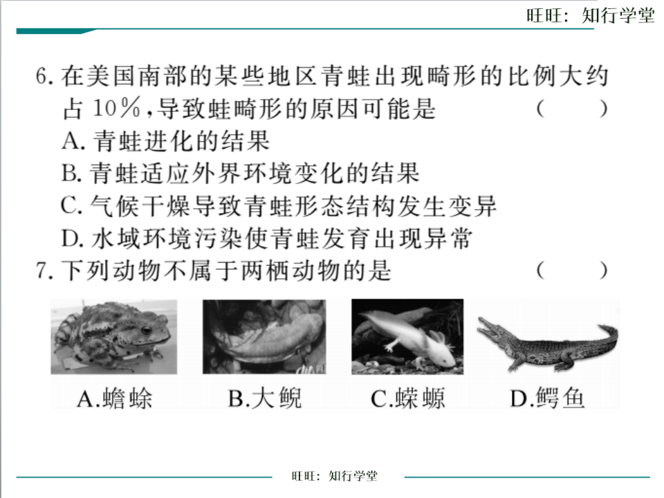 第三节  两栖动物的生殖和发育_08.png