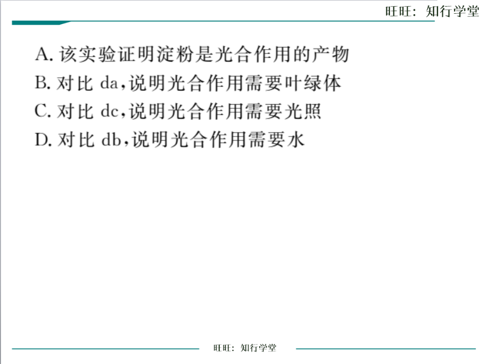 专题4  绿色植物的作用_12.png